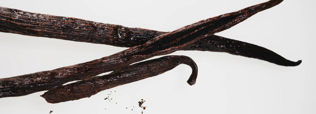 vanilla in perfume