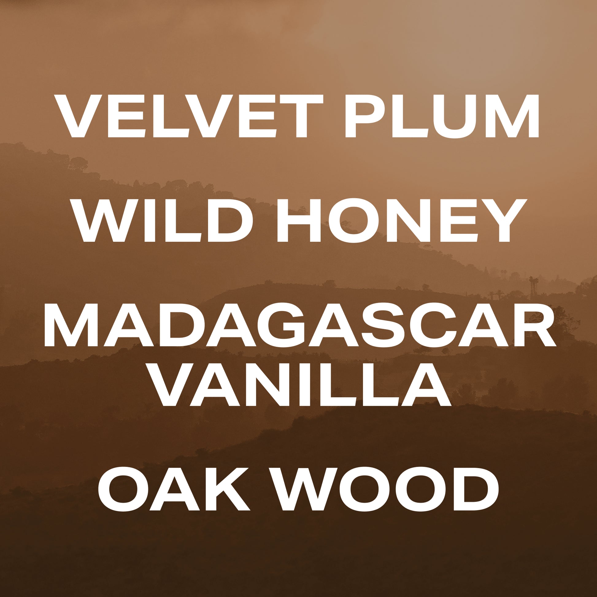 Vanilla Canyon - Fragrance Duet - Phlur