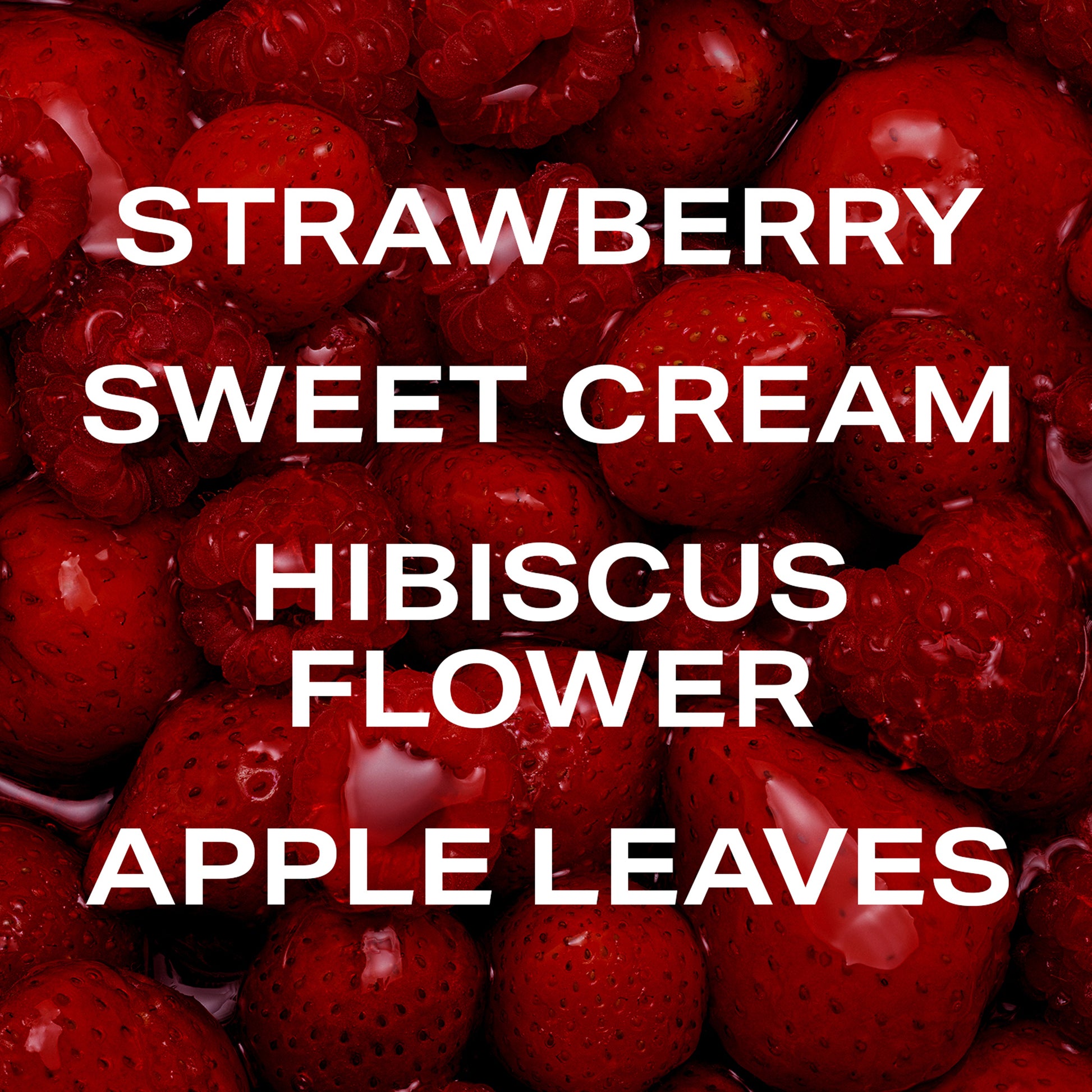 Berry Matcha Latte - Body Mists - Phlur