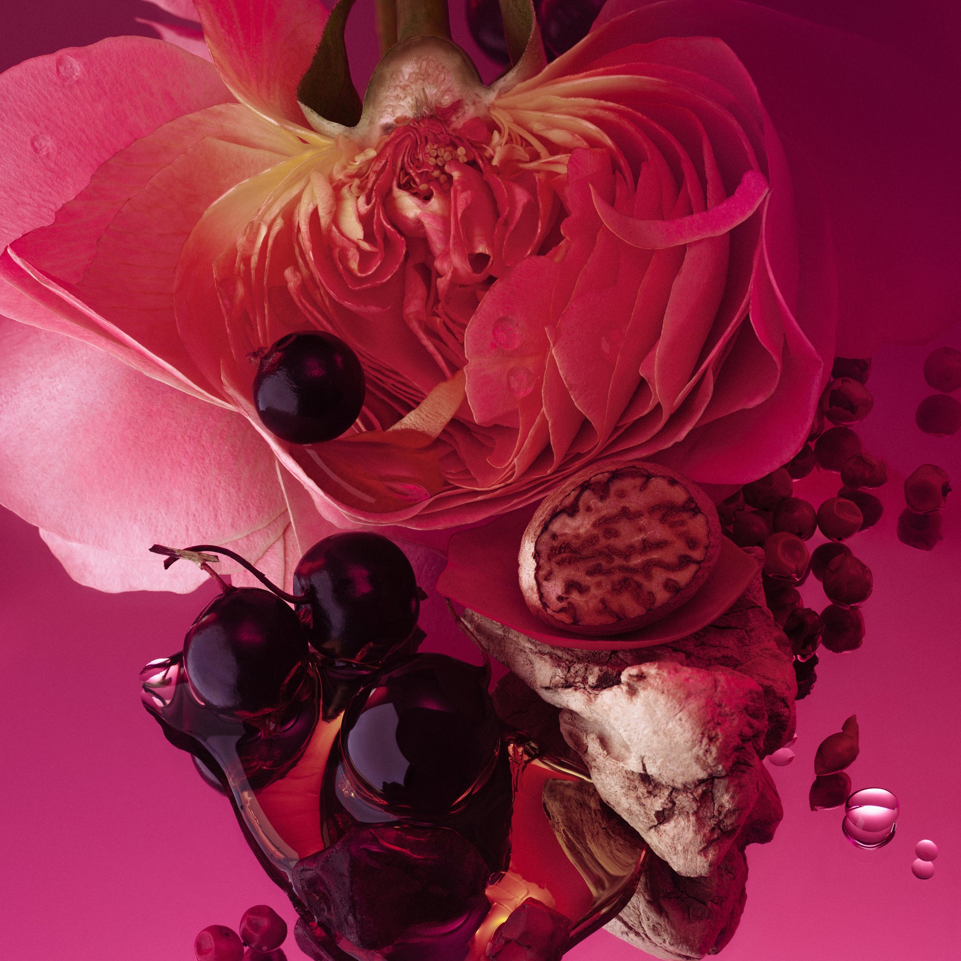 Rose Whip - Deodorant - Phlur