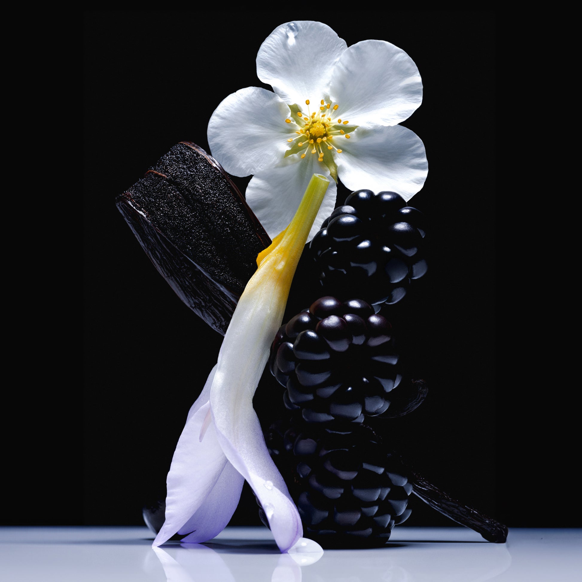 Vanilla Blackberry - Travel Size Body Mist