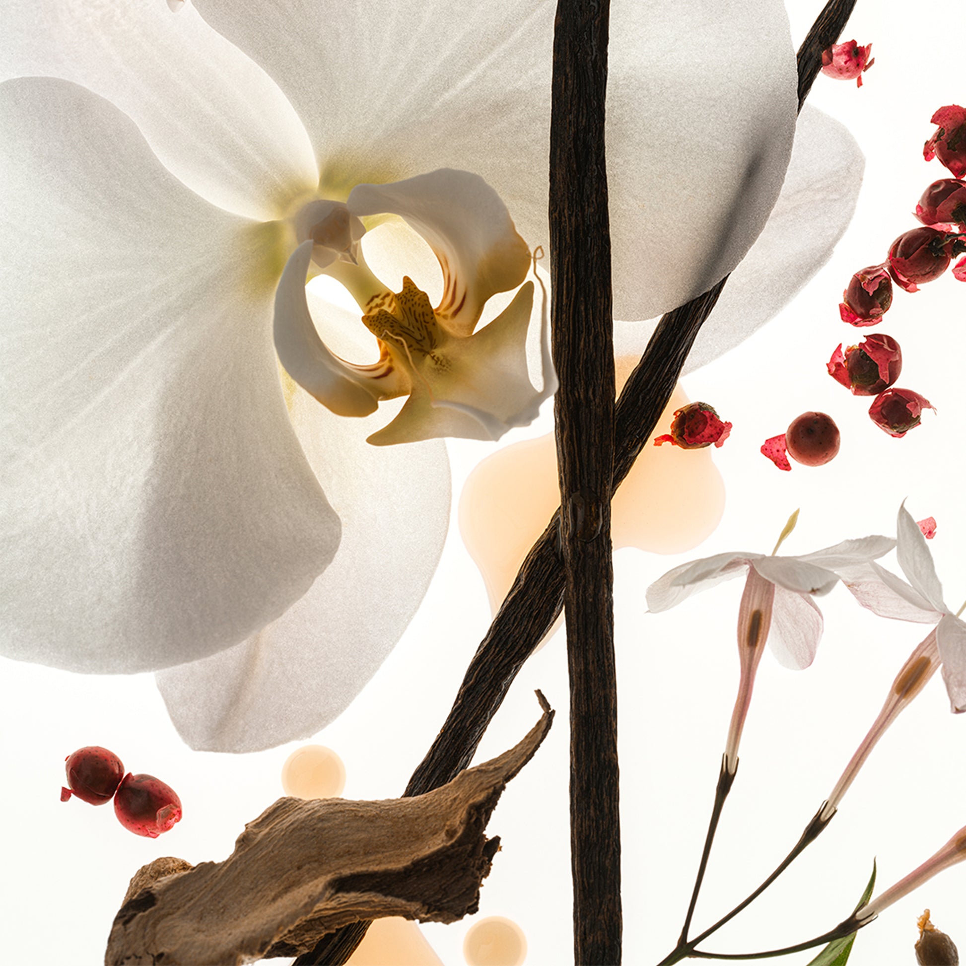 Vanilla Skin - Body Oil